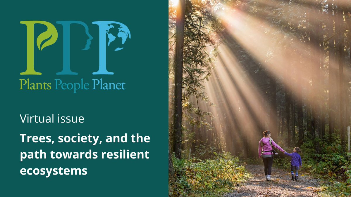 plantspplplanet's tweet photo. New Virtual issue: Trees, society, and the path towards sustainable #ecosystems

This #VirtualIssue examines five critical themes of #trees and #forests and their societal impact:
https://t.co/qtJfb9ycja

@M_EsperonR @wileyplantsci #UrbanForestry https://t.co/1WTRxPyakg