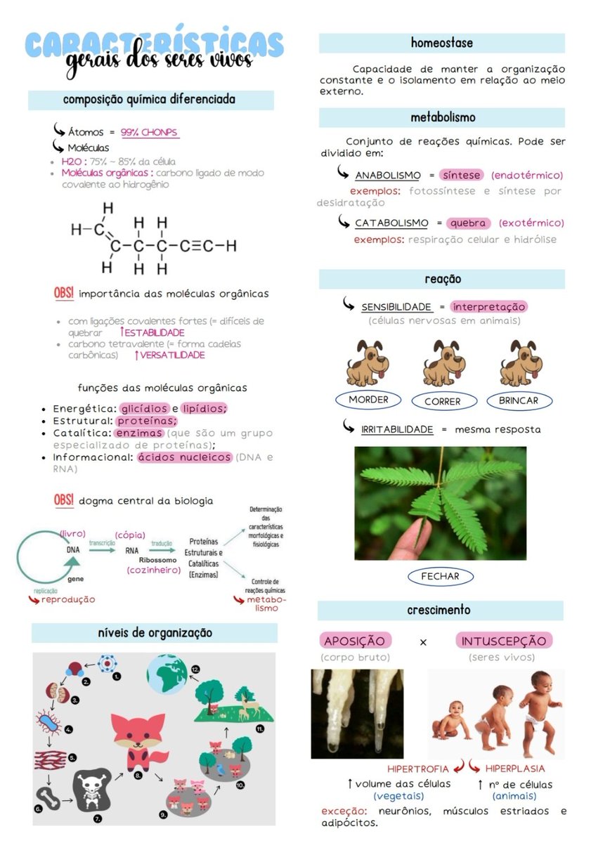 studyarin tweet picture