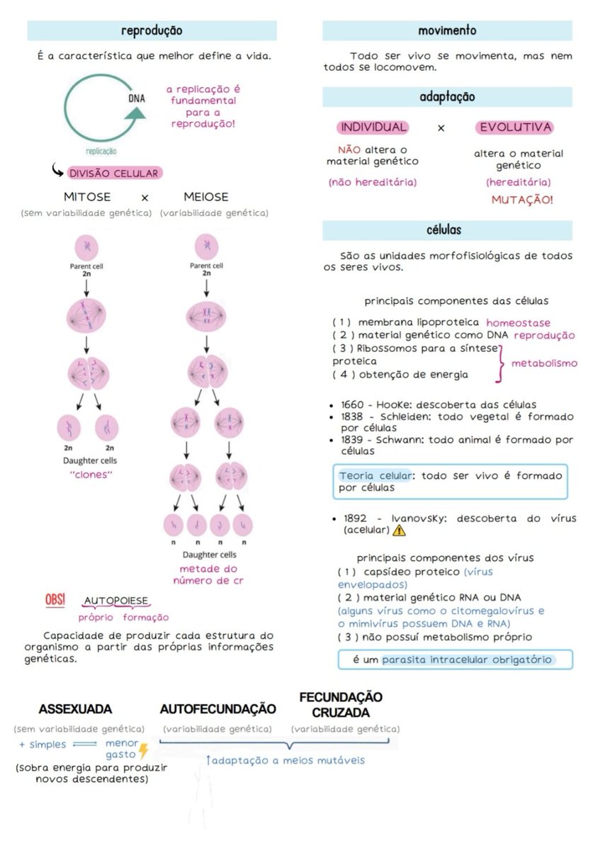 studyarin tweet picture