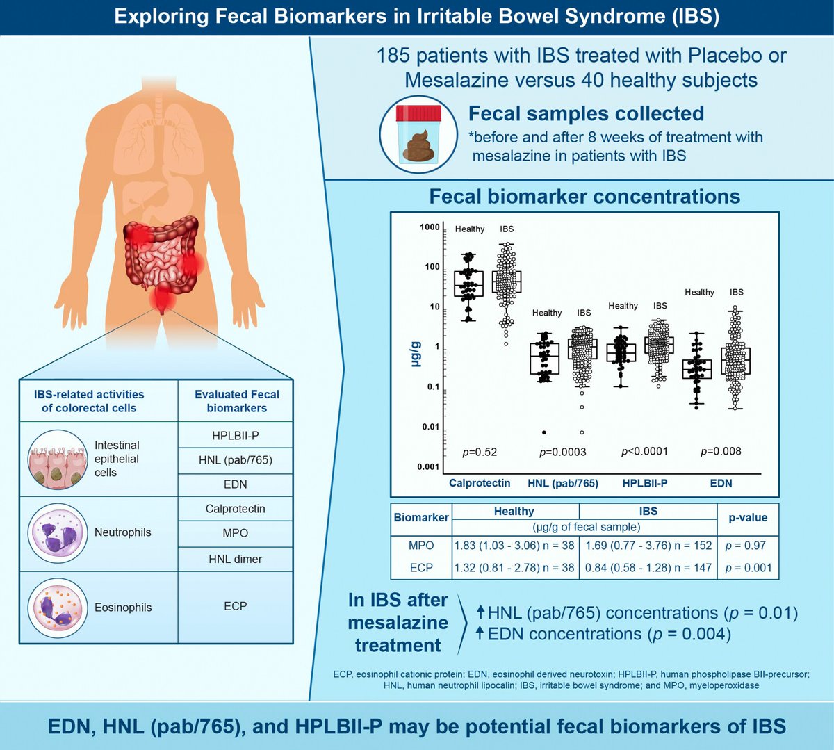 NGMJournal's tweet photo. 🆕🔥Elevated #FecalBiomarkers of colo‐rectal #EpithelialCell activity in #IBS‼️
🎯Activity of #GutEpithelialCells rather than #inflammation driven by #neutrophils and/or #eosinophils, is a key #pathogenetic mechanism in #IBS👏
👉https://t.co/xBCJGeKhat
@ANMSociety @esnm_eu https://t.co/CHHcDQScol
