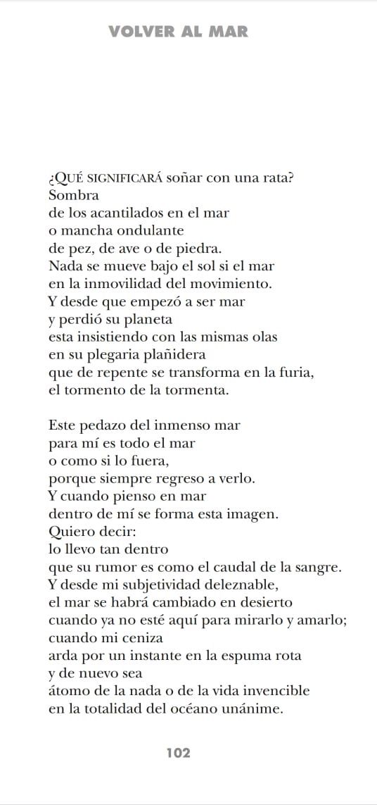 TeamPoetero's tweet photo. "Este pedazo del inmenso mar
para mí es todo el mar
o como si lo fuera,
porque siempre regreso a verlo."

José Emilio Pacheco
(México, 1939-2014) https://t.co/2FYSLYazOq