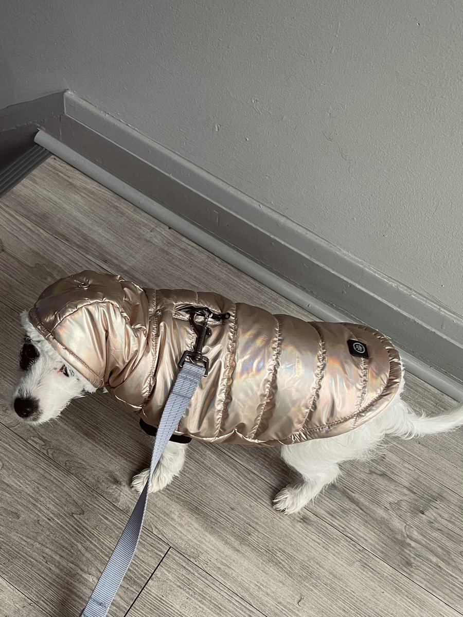 _aNic0le's tweet image. Chilly walks outside just got more #demure 🧥