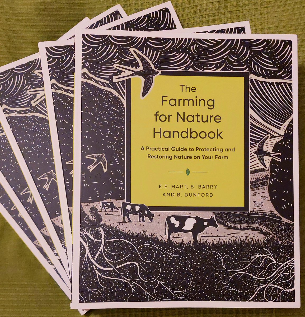 Hedgerows Ireland (@hedgerows_ie) on Twitter photo Christmas presents sorted! We're delighted to see a whole chapter on hedgerows & field boundaries in the new <a href="/farmfornature/">Farming For Nature</a> handbook. It covers planting, managing, and rejuvenating hedgerows—plus creating 'bee scrapes' on sunny earth banks at their base for solitary bees 🐝 Christmas presents sorted! We're delighted to see a whole chapter on hedgerows & field boundaries in the new <a href="/farmfornature/">Farming For Nature</a> handbook. It covers planting, managing, and rejuvenating hedgerows—plus creating 'bee scrapes' on sunny earth banks at their base for solitary bees 🐝