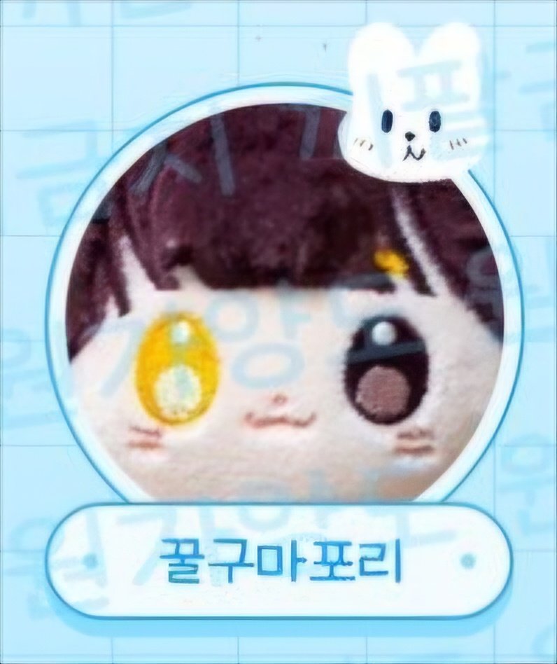 코옹뭉개🦭 tweet media