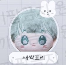코옹뭉개🦭 tweet media