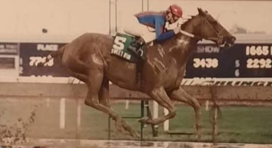 HORSERACING1002's tweet image. SWEET RUN🇺🇸1984
(MISWAKI  - SWEETBIDDER BY BOLD BIDDER)#SweetRun
B/ McMillin Bros, P. Tackett &amp;amp; Hoss Inman (Ky) April 12, 1984
O/ Richard Trebat
T/ Jere R. Smith Jr.
KEESEP $150,000
KEENOV $40,000 ( Chief's Crown)
KEENOV $13,000 (Marquetry)
OBSWIN $21,000 (Marquetry)
OBSOCT