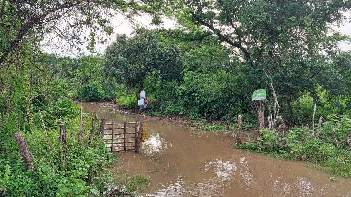 Fundación PLAN tweet media