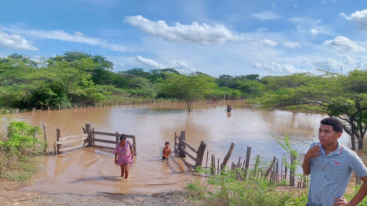 Fundación PLAN tweet media