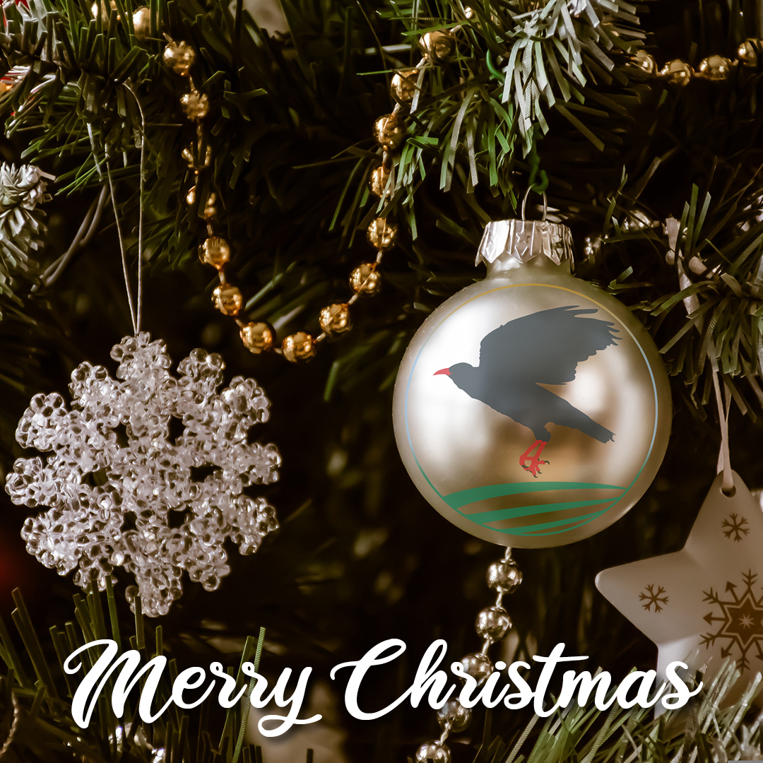 With very best wishes for a wonderful Christmas from all of the #CornwallSCITT team!

#TrainToTeach #GetintoTeaching #TeacherTraining #Teaching #CornwallLife #Cornwall #SCITT #Education