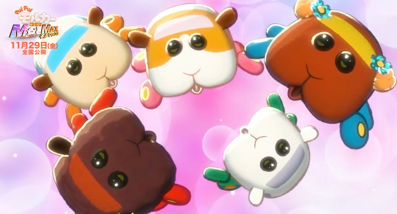 PUI PUI モルカー【公式】 on X: 