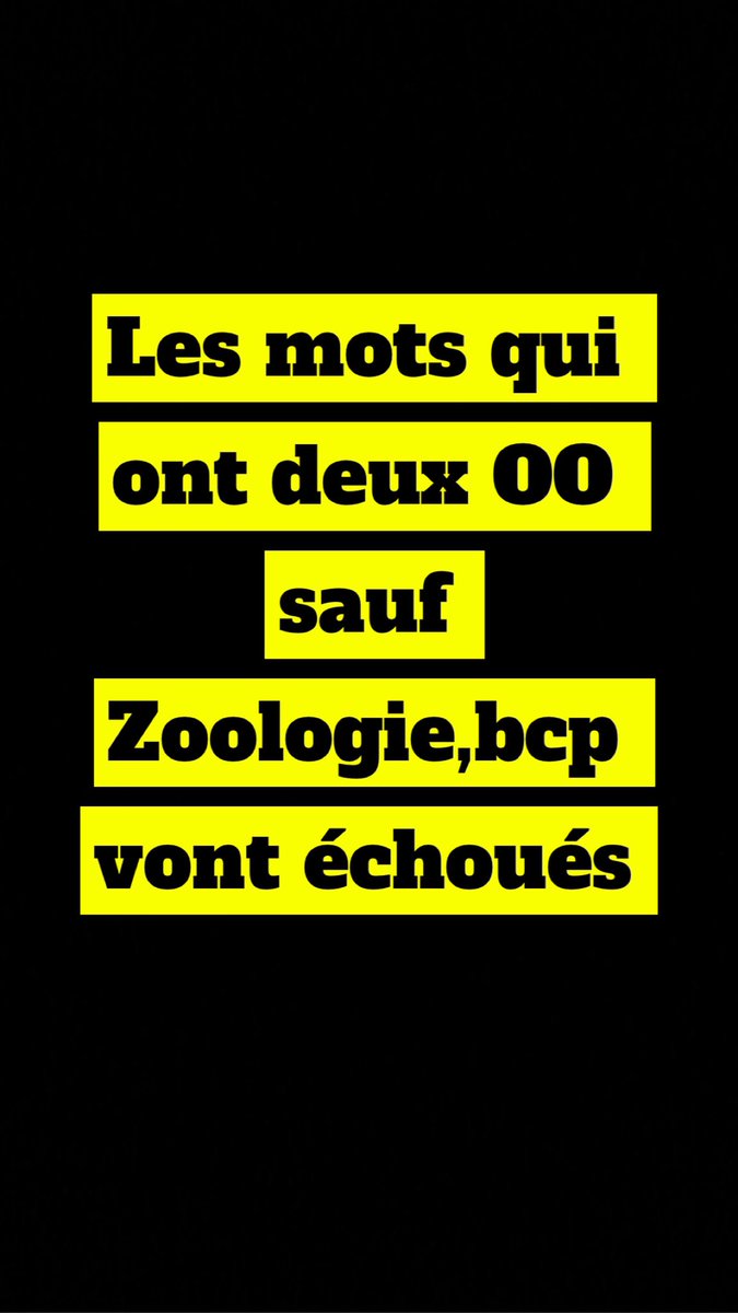 Dani🧸 tweet media