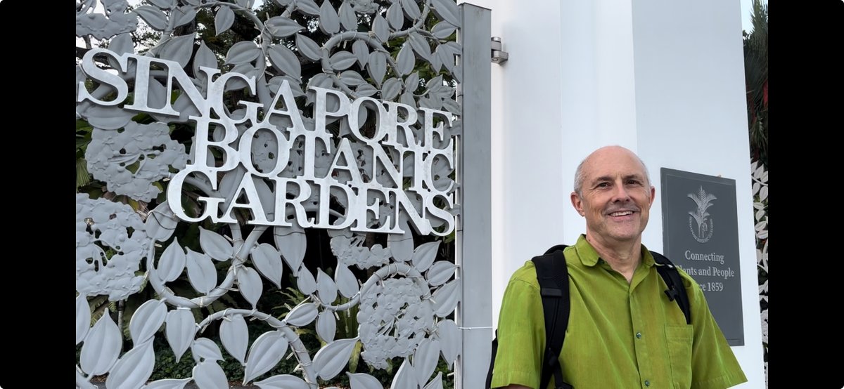 Three months in Singapore!  I've hit the ground, almost running.  Resurrecting my old account on X, hoping to engage and share about SE Asian forests and trees.  Hebat!