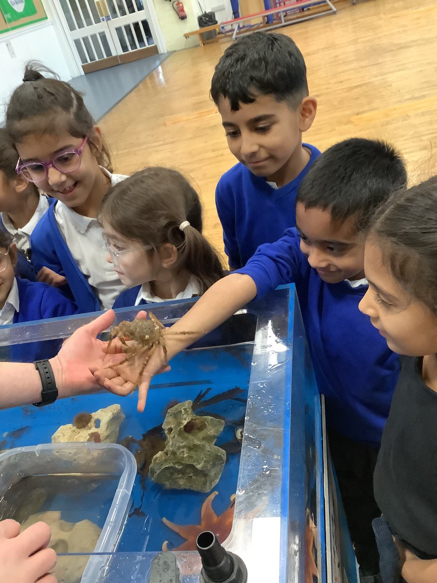SHPYear1's tweet photo. Year 1 loved having aqualease in today. They learnt lots of interesting facts about some sea creatures! 🪸🦀 https://t.co/yKD37TcKpU