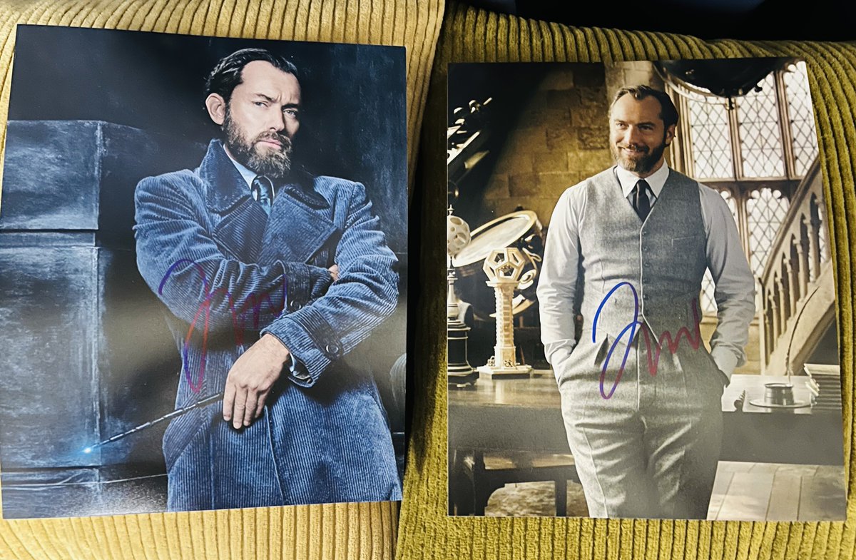 ジュード・ロウ #JudeLaw #東京コミコン2024 #TCC2024