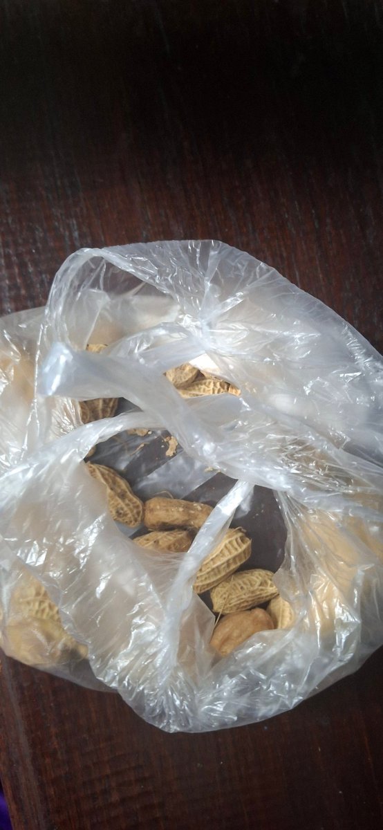 Nuenis_'s tweet photo. what yall know abour digging yo butt and eating peanuts
#OnceInALifetimeExperience https://t.co/AWSHDNZsVU