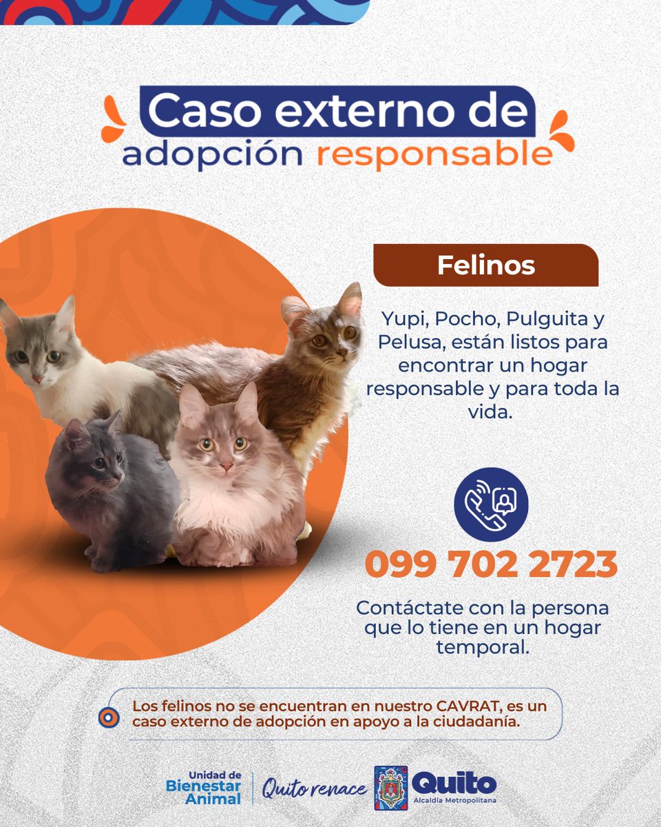 Unidad de Bienestar Animal Quito tweet media