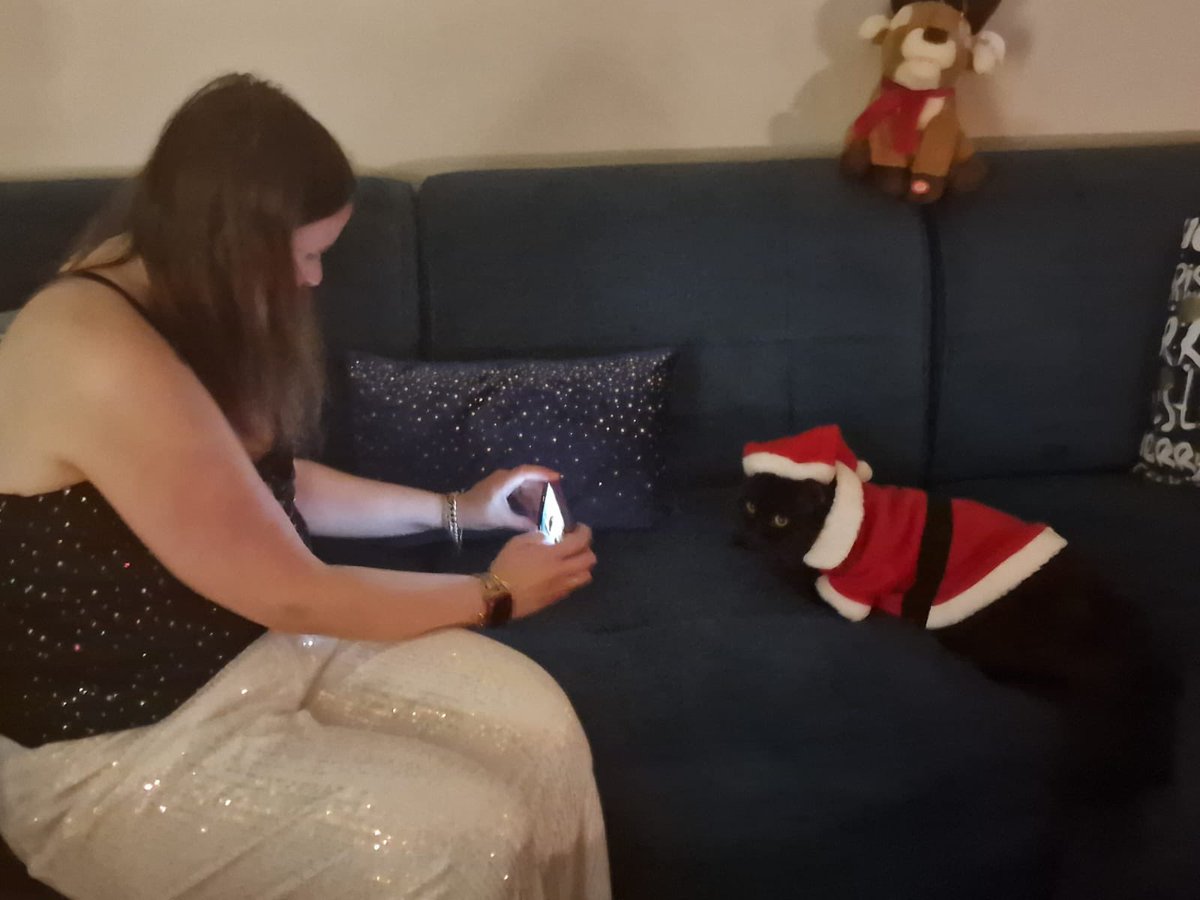 catcastletails's tweet photo. Guess who is going to be the star of our digital Christmas card this year! 
He just sat there in his outfit, purring away. We decided to do digital again and donate the money saved to charity. This year we’ve chosen @catswithnohope 🐾 #tailsofcatcastle #adoptdontshop #cats #lovewins #rescuecat #christmas