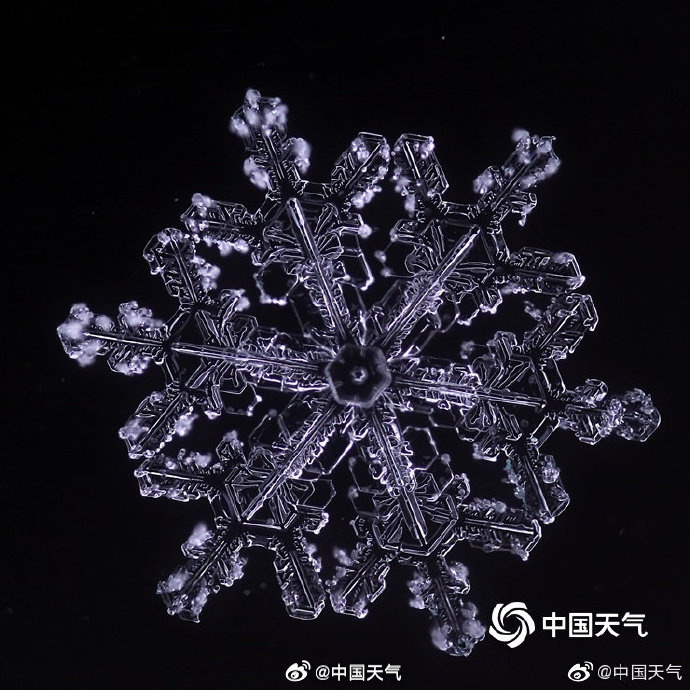PDChinese's tweet photo. 【微距下的雪花有多美】微距鏡頭裡，每一朵雪花都是精美的藝術品。 https://t.co/slU2jX7twh