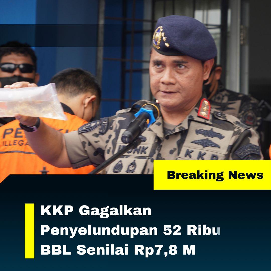 refaabdi's tweet photo. Pemerintah berhasil menggagalkan penyelundupan sabu 220 kilogram di Perbatasan Kalbar. Pemerintah terus berkomitnen untuk memberantas penyelundupan barang dan Narkoba.
#BerantasPenyelundupan
#PrabowoBerantasPenyelundupan
#AstaCita https://t.co/1N33jTQ8GG