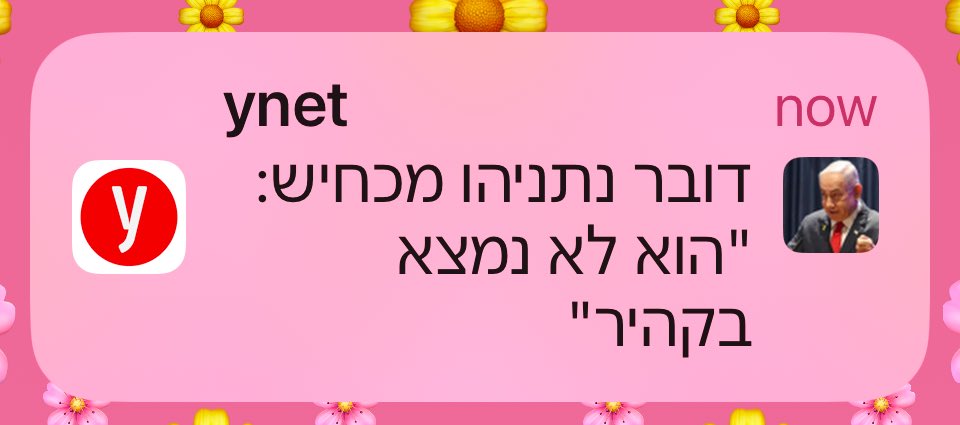 aviv mizrahi 🐰 tweet media