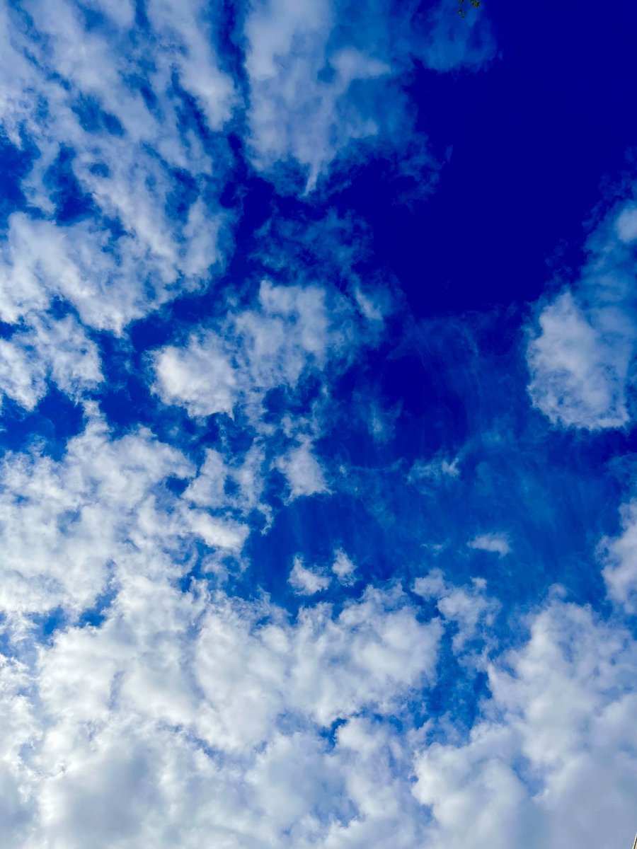 【投稿予告 Day18】

 地平は地獄と化し、空はもはや天国では無くなった。くたばれ財団。