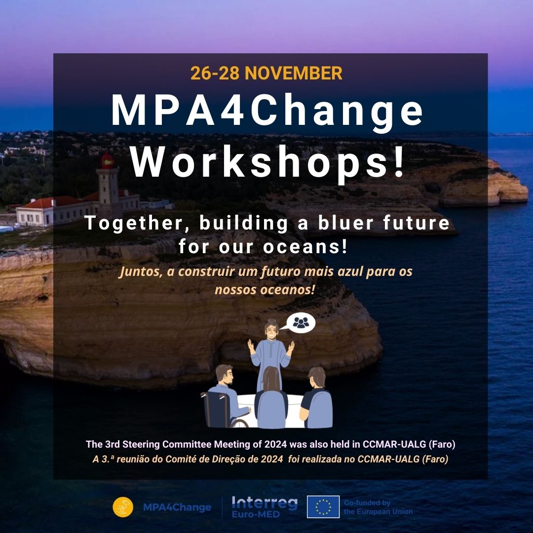 fbc_ccmar's tweet photo. 🌊 MPA4Change Workshops: United for Our Oceans' Future! 

3 workshops, 4 days, experts &amp; organizations working to strengthen Marine Protected Areas (MPAs).

📸 Highlights in the images!

📢 Stay tuned for more!
#MPA4Change #ccmar #MarineConservation #ClimateChange #Sustainability https://t.co/ikAGGOpbzZ