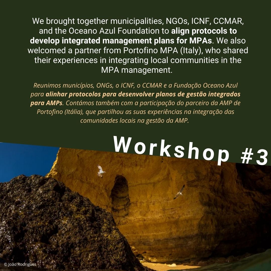 fbc_ccmar's tweet photo. 🌊 MPA4Change Workshops: United for Our Oceans' Future! 

3 workshops, 4 days, experts &amp; organizations working to strengthen Marine Protected Areas (MPAs).

📸 Highlights in the images!

📢 Stay tuned for more!
#MPA4Change #ccmar #MarineConservation #ClimateChange #Sustainability https://t.co/ikAGGOpbzZ