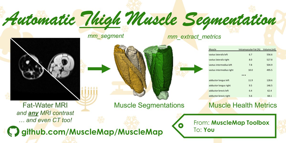 MuscleMap Toolbox (@musclemaptools) on Twitter photo ☃️🎅Happy Holidays from MuscleMap Toolbox! More 🎁 dropping for the #muscle #MRI community. Today we released our #opensource automated thigh #muscle #health pipeline—Our most complex model to date! Feedback is needed. Let us know how it works for you! 🎅☃️github.com/MuscleMap/Musc… ☃️🎅Happy Holidays from MuscleMap Toolbox! More 🎁 dropping for the #muscle #MRI community. Today we released our #opensource automated thigh #muscle #health pipeline—Our most complex model to date! Feedback is needed. Let us know how it works for you! 🎅☃️github.com/MuscleMap/Musc…