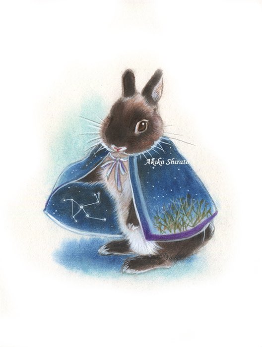 akipcs's tweet image. あたたかくして
よい夜を🌟