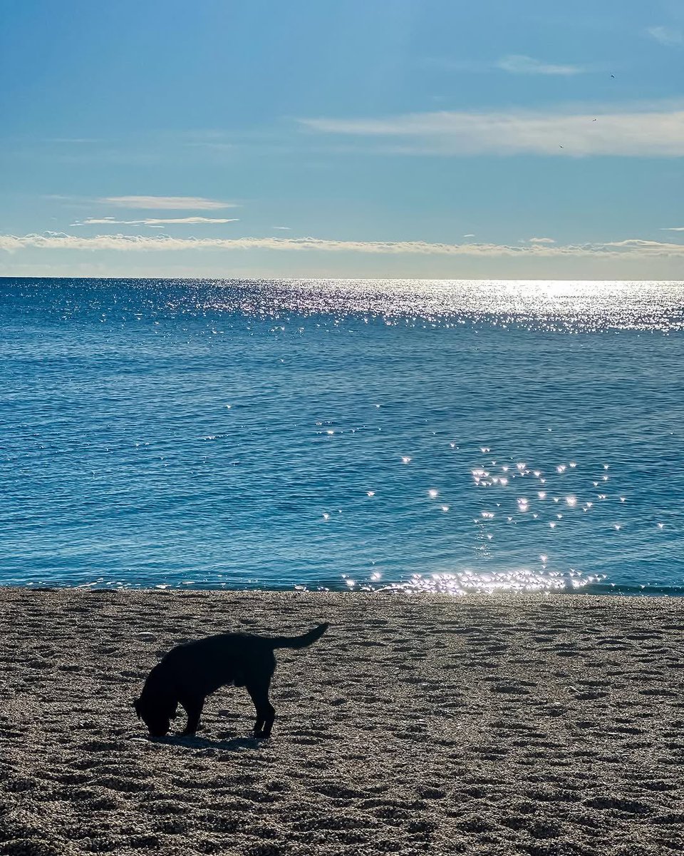 lamialiguria's tweet photo. L’inverno si avvicina e noi lo aspettiamo con una passeggiata sul #mare a #Varigotti 

📍Meta ambita da turisti italiani e stranieri durante tutto l’anno grazie alle spiagge perfette per camminare, ascoltare musica e ammirare tramonti

📸 @cristinanasi, piapizzi https://t.co/Kz43jNZ08R