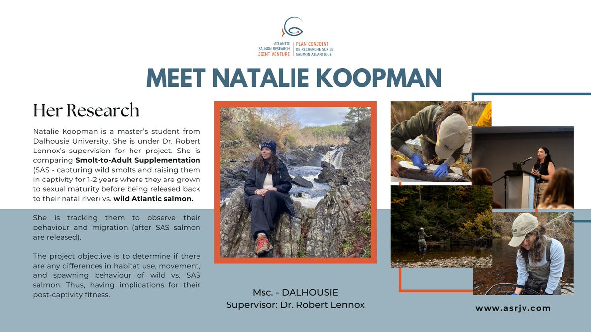 🐟 Meet Natalie Koopman from our Student-HUB 🐟

One of our students who is working on their master's project, which focuses on comparing SAS (Smolt-to-Adult Supplementation) to wild Atlantic salmon.

Read more below or for more information contact Natalie <a href="/NatalieKoopman3/">Natalie Koopman</a>