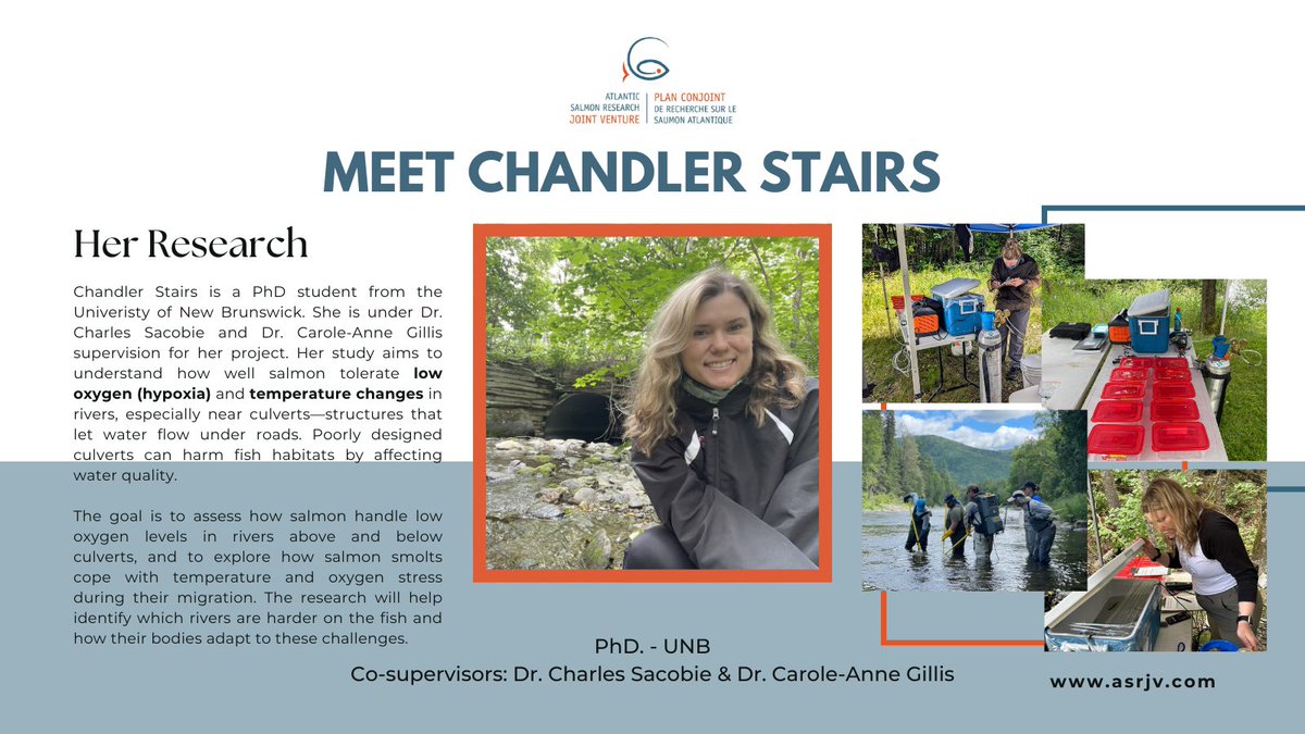 🌊 Meet Chandler Stairs from our Student-HUB. 🌊

One of our students who is working on their PhD project, which focuses on thermal tolerance and aerobic capacity of Atlantic salmon within the Restigouche Watershed.

Read more below:
