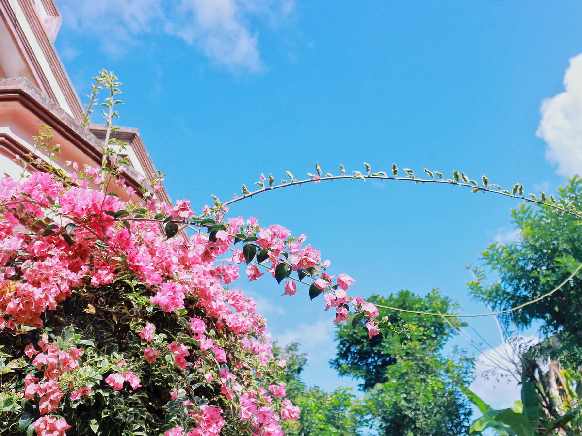 Bidik kamera dengan rona kebiruan