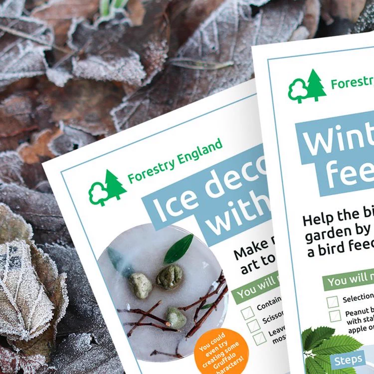 Gruffalo wintry activity sheets on frosted leaves.
