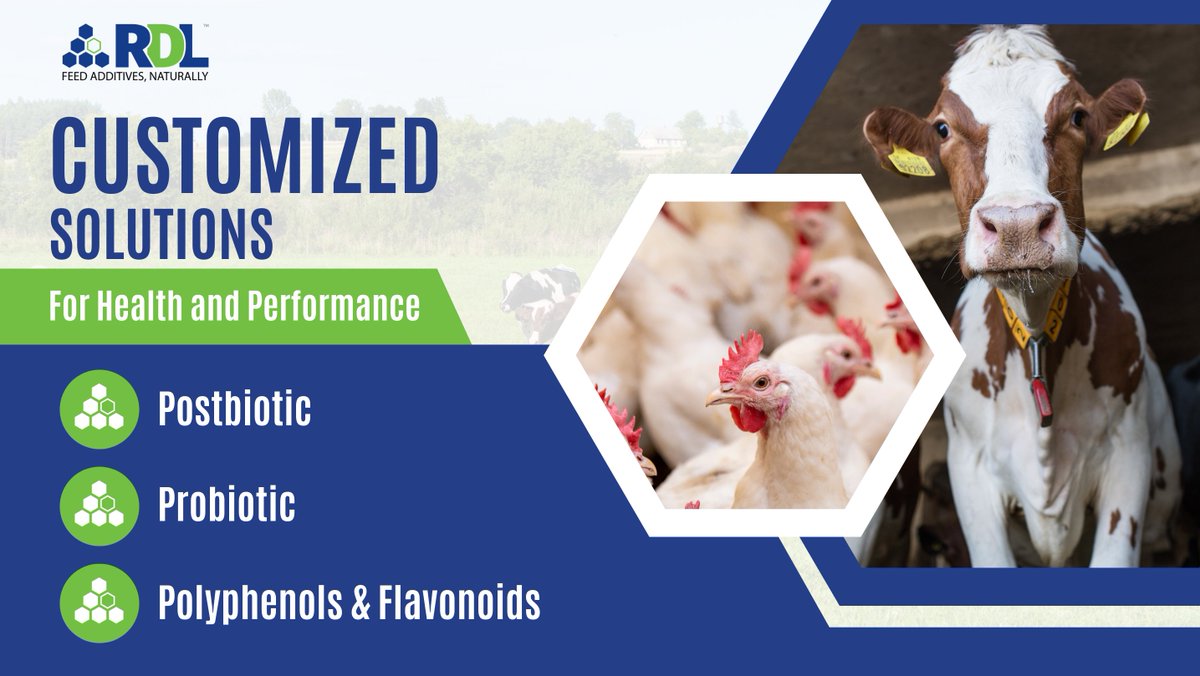 RD_LifeSciences's tweet photo. RD LifeSciences is a base manufacturer & provider of natural #FeedAdditives globally to animal feed and nutrition companies.
We offer customizes solutions for health and performance utilizing #postbiotics, #probiotics, #polyphenols, and #flavonoids.
#CustomizedSolutions #RDL https://t.co/iRetOfxhF9