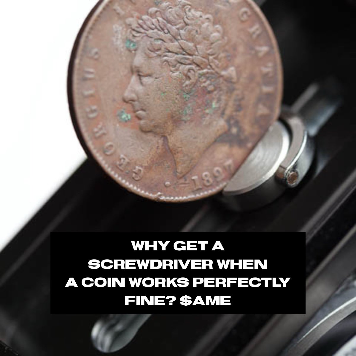 Cosmo’s Chronicle tweet media