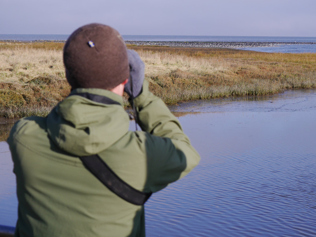 Waddenacademie (@waddenacademie) on Twitter photo Save the Date: 20 februari 2025:
"Wadden Sea Research Projects: Information Meeting for Stakeholders"
in het kader van de Nederlands-Duitse onderzoekscall van <a href="/NWOFunding/">NWO Funding</a>, organized by CWSS en Waddenacademie waddenacademie.nl/kalender/wadde… Save the Date: 20 februari 2025:
"Wadden Sea Research Projects: Information Meeting for Stakeholders"
in het kader van de Nederlands-Duitse onderzoekscall van <a href="/NWOFunding/">NWO Funding</a>, organized by CWSS en Waddenacademie waddenacademie.nl/kalender/wadde…