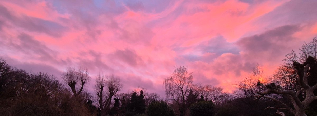 From the back window the other night....