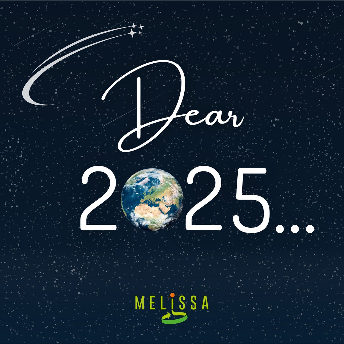 Dear 2025 … 💫

We want to welcome you with hope and determination: a year to dream bigger, innovate boldly, and build a sustainable future together. Happy New Year 🌟

What would you like to say to 2025? What are your wishes for this new year? 💭 #MELiSSAProject