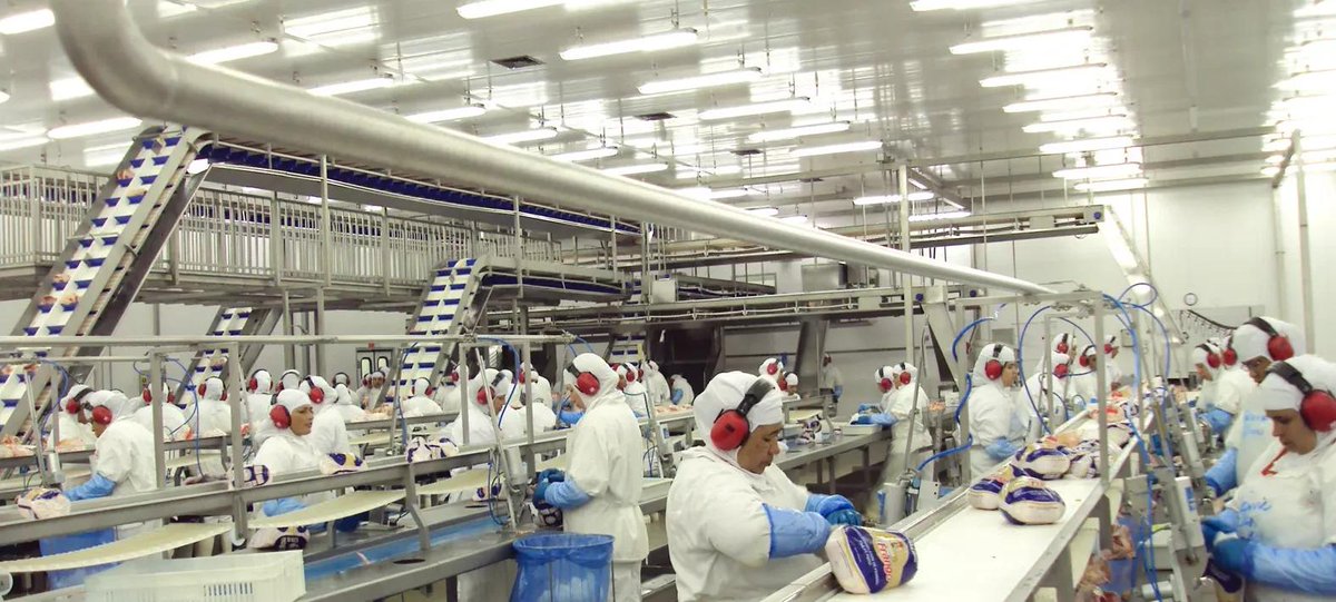 bilaterals_org tweet media