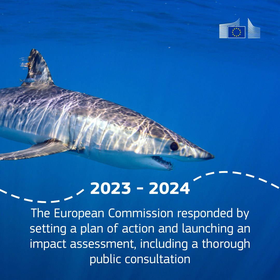 Citizens’ Initiative on sharks: <a href="/EU_Commission/">European Commission</a> delivers on its promises:

🗓 Jan 2025: The EU will step up tracking the trade of sharks and their fins.
🗣 13 new tariff codes for most traded shark species enter into force
📊 Data will be available on <a href="/EU_Eurostat/">EU_Eurostat</a>.