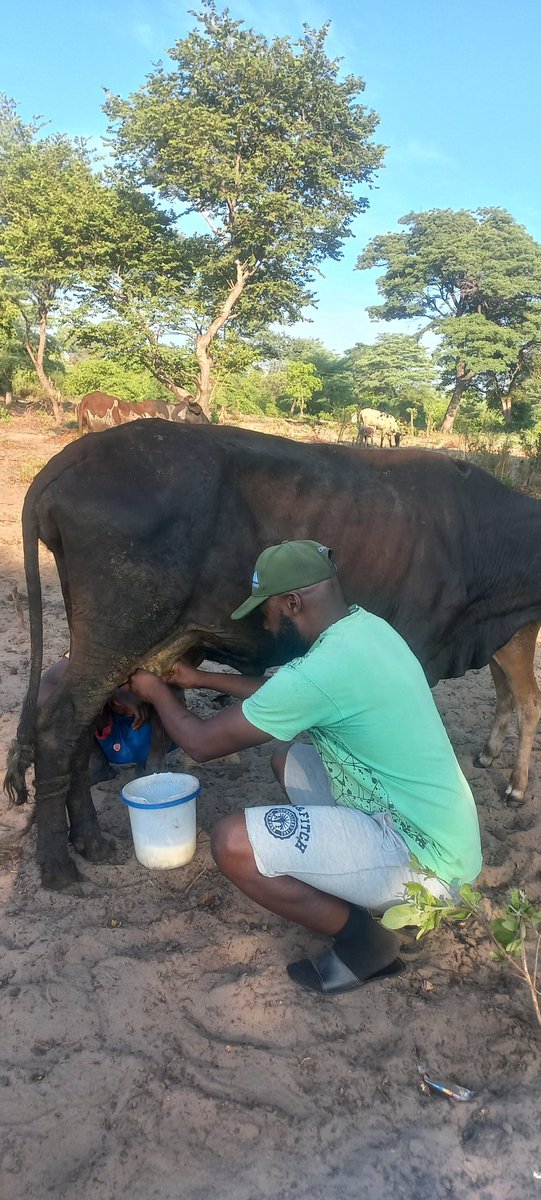 Shangombo has been teaching me alot of new things 😩😩😩