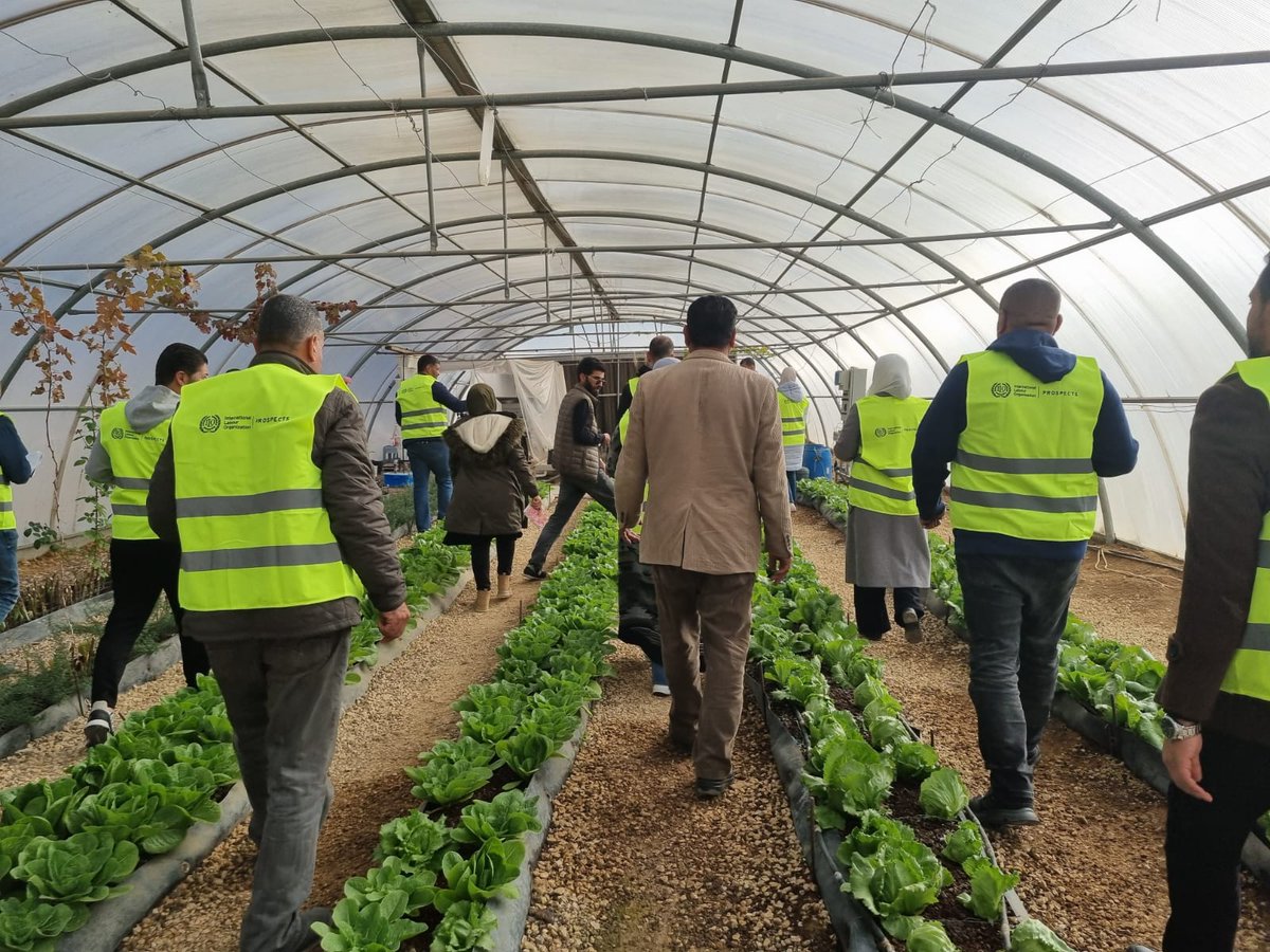iloarabstates's tweet photo. Strengthening #OSH in agriculture! We run a 5-day Training of Trainers on occupational safety &amp; health for agriculture. Participants include:
 ✅Ministry of Agriculture staff
 ✅Agriculture trade unions
 ✅Cooperatives
 ✅Jordan Agriculture Engineers Association
#SafeFarming https://t.co/B2dkPusHaC