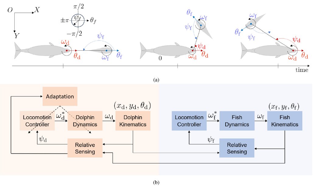 🚨NEW ARTICLE ALERT: Learning to hunt: A data-driven stochastic feedback control model of predator-prey interactions. We show how a dolphin can quickly adapt their hunting strategy to outmaneuver its fish prey. sciencedirect.com/science/articl…