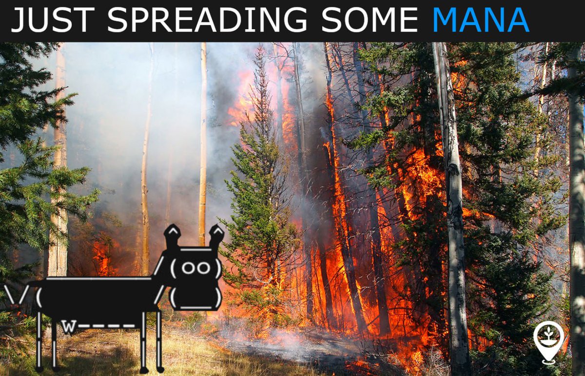 manaonsolcto's tweet photo. Hey @JupiterExchange we are applying for strict list

Meme Anarchic Numismatic Asset $MANA spread like wildfire

mint address:
Bw5K8eZaf361uDLHgX2UUn1PNfC7XtgQVvY9sSappump https://t.co/kLjUxXUjnP