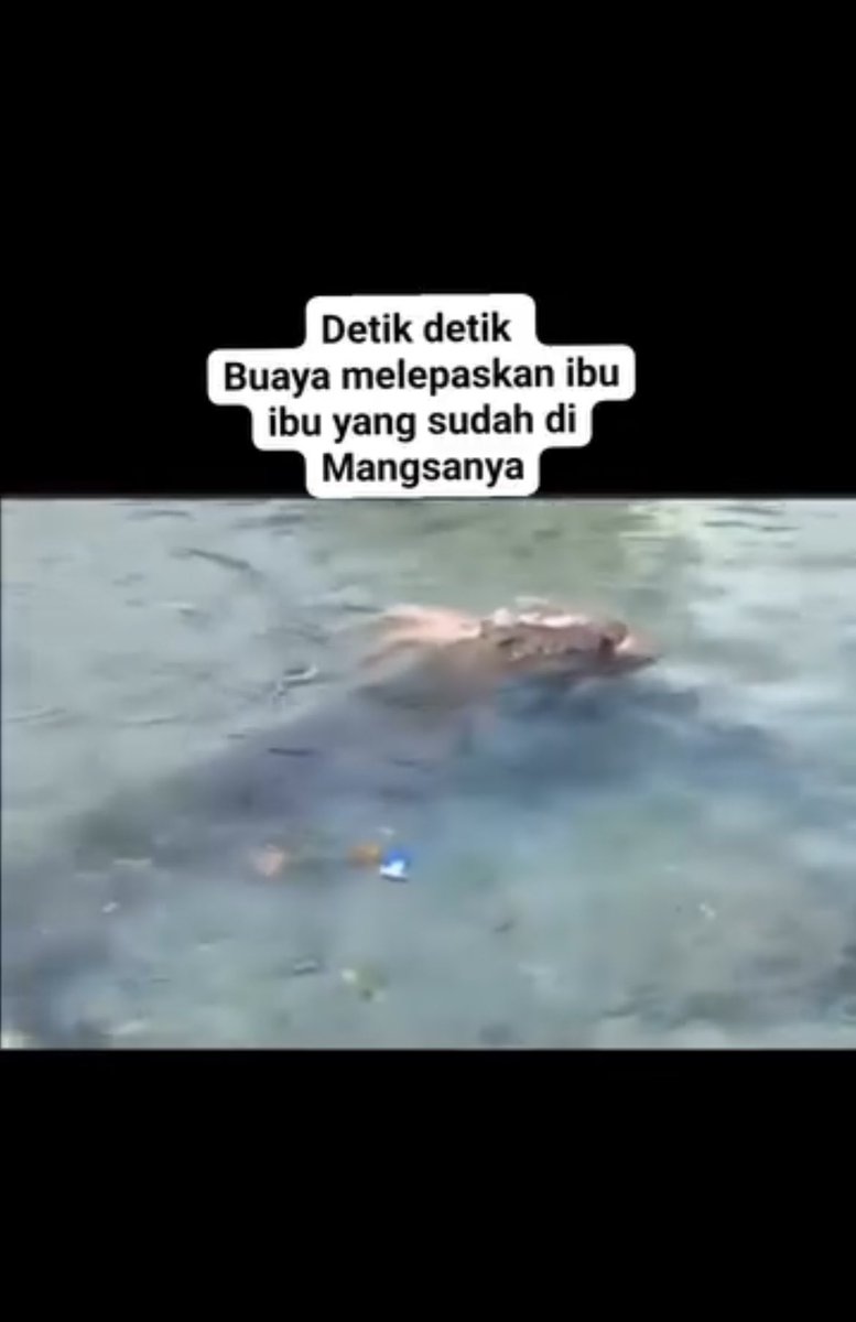 artiswtic's tweet photo. Ini lah Ibu rumah tangga yang di terkam oleh buaya Ganas😱

📍Pulau Telo https://t.co/VeGJe0uRJV