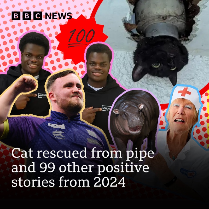 BBCNews's tweet photo. "The looks we got in the waiting room when we walked through with the cat stuck in a pipe"

John the cat became famous when images of her stuck in a pipe made rounds on the internet

This is just one of 100 positive stories we're looking back on from 2024

Follow here ⬇️