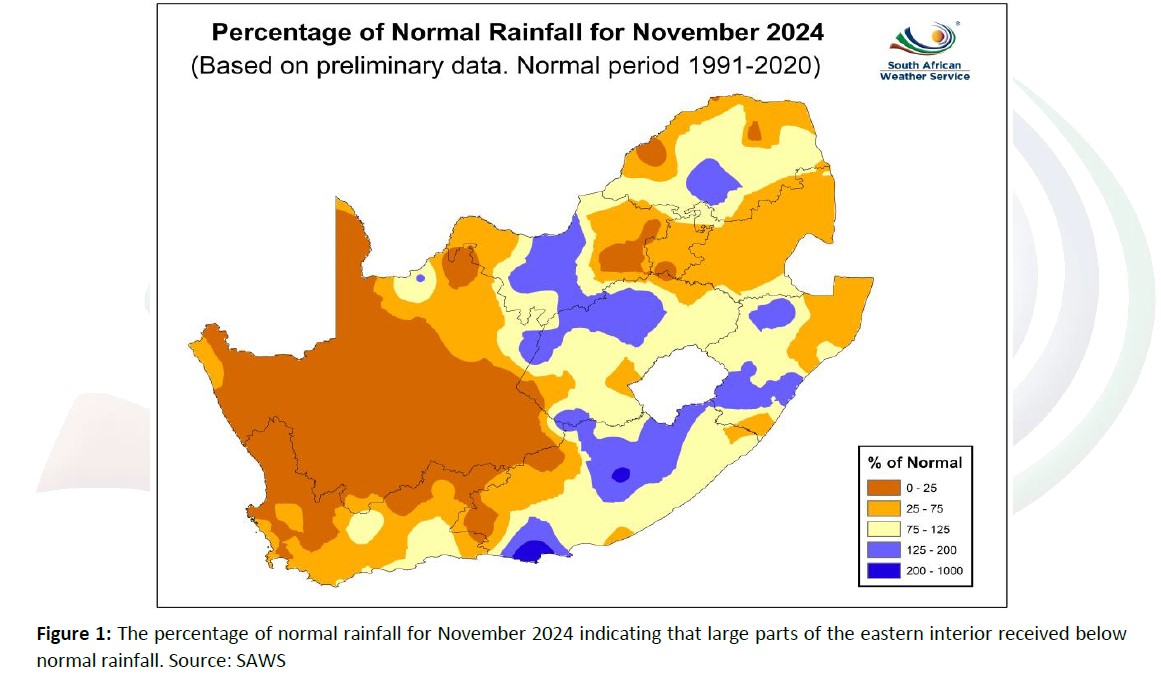 SA Weather Service tweet media