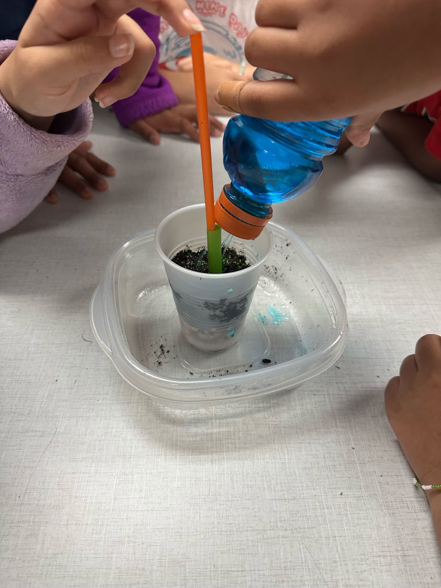 Post Elementary tweet media