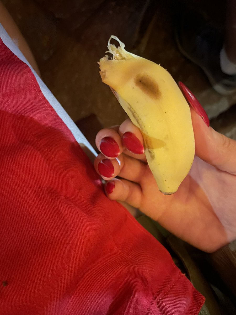 vBunsie's tweet photo. Is this an average banana? 🤔 https://t.co/fYUJt9DgB4